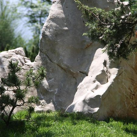 Villa Eagle Eye Montenegro コトル エクステリア 写真