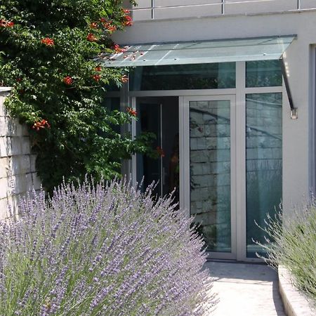 Villa Eagle Eye Montenegro コトル エクステリア 写真