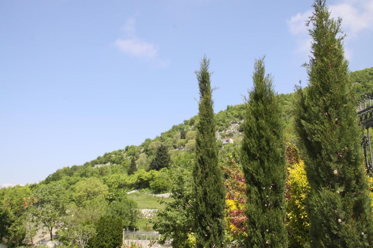 Villa Eagle Eye Montenegro コトル エクステリア 写真