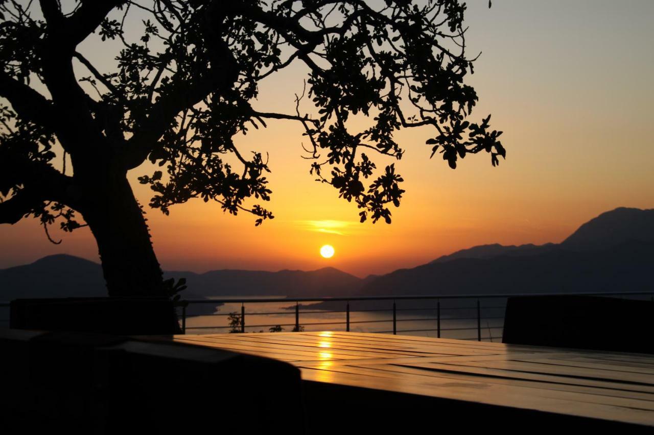 Villa Eagle Eye Montenegro コトル エクステリア 写真