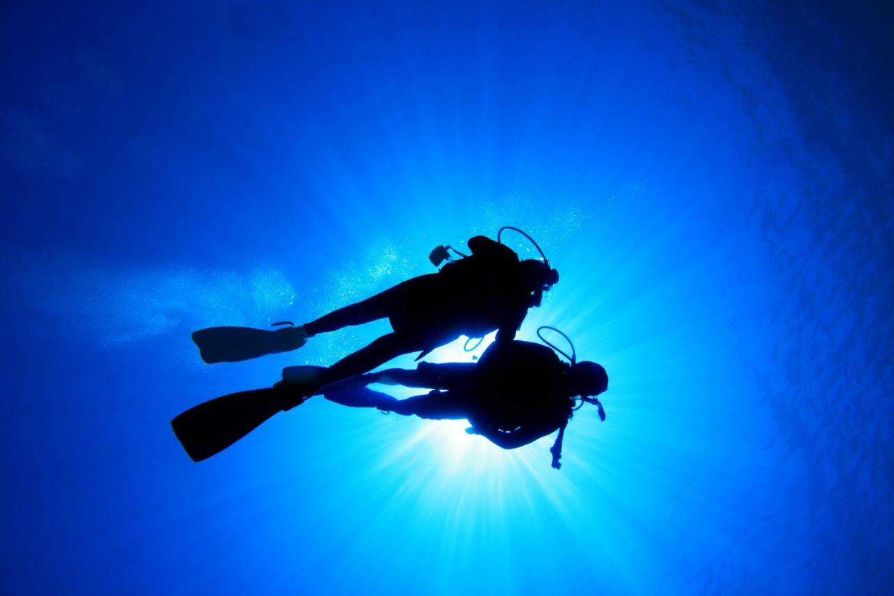 Villa Eagle Eye Montenegro コトル エクステリア 写真