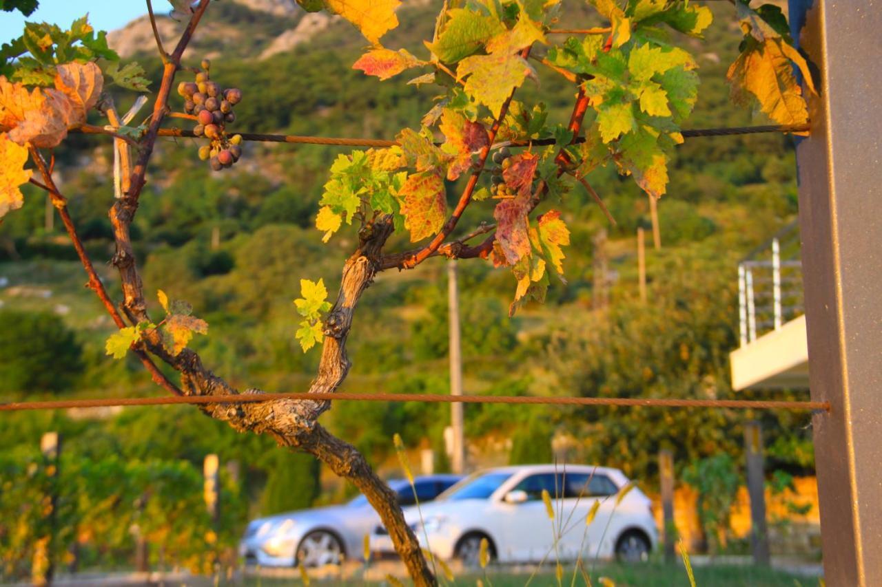 Villa Eagle Eye Montenegro コトル エクステリア 写真